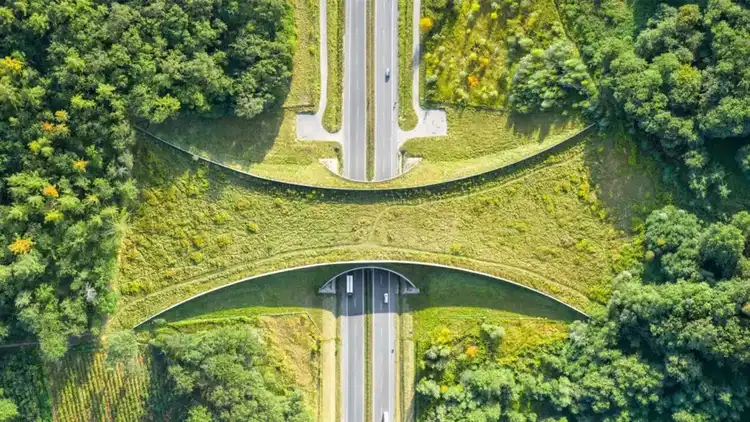 L&D’s Role in Corporate Sustainability
