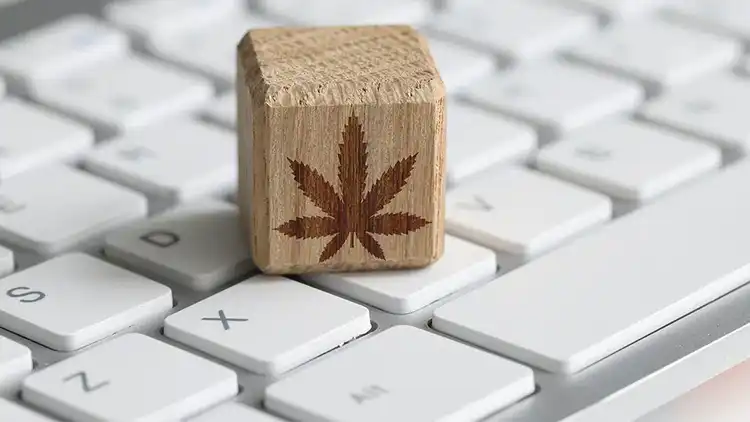 Evolving State Marijuana Laws Should Prompt Employers to Revisit Workplace Policies