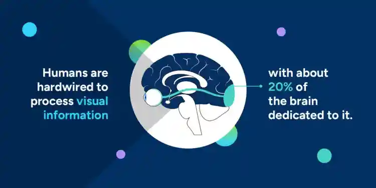Humans are hardwired to process visual information